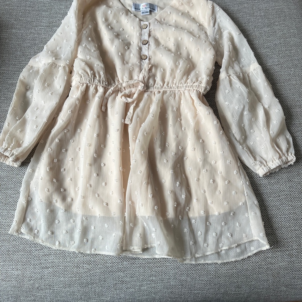 Size 18-24 months Baileys Blossoms Swiss Dot Toddler Dress